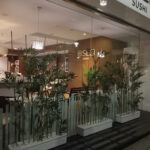 Restaurante Japonés Oslo Sushi – Opiniones y Reseña