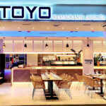 TOYO – Opiniones y Reseña